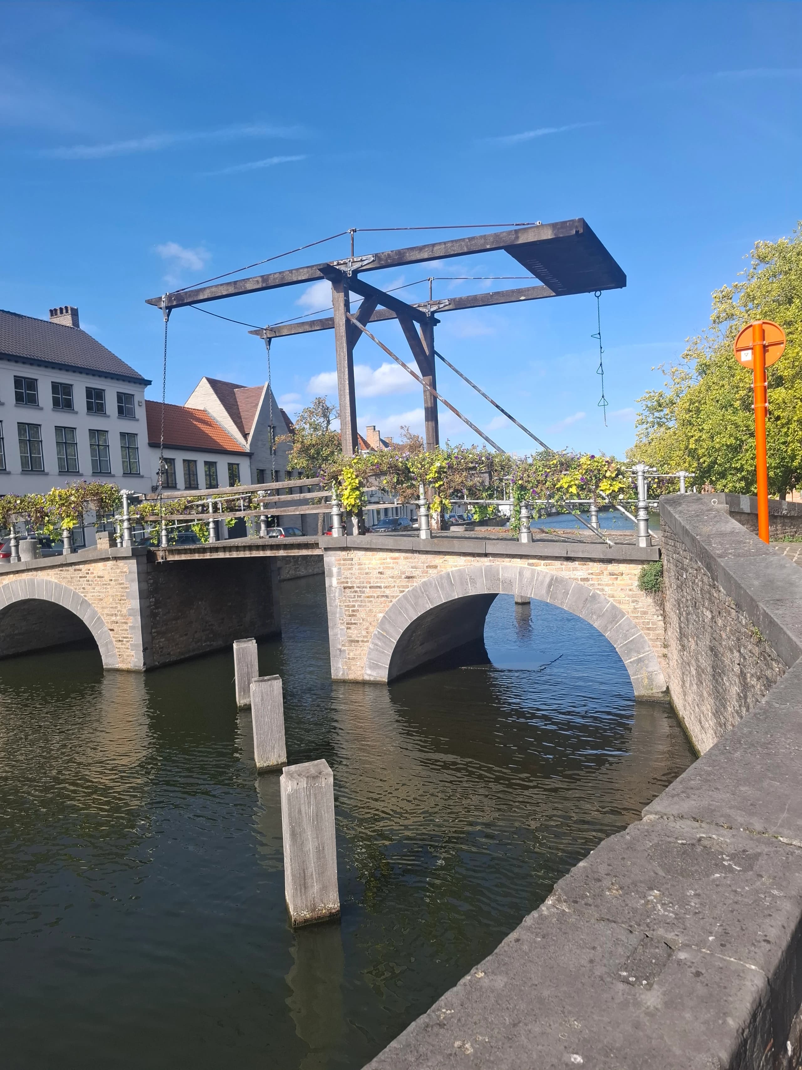 Afbeelding 1 bij 
