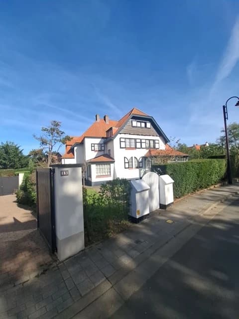 Afbeelding 1 bij 